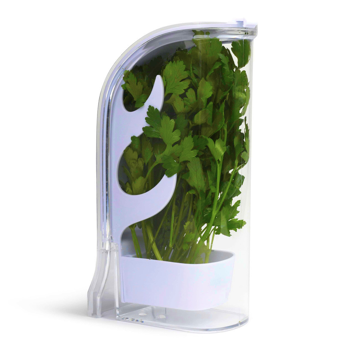 Herb Crisper Saver Container R - Herb Keeper Bottle 评论和价格