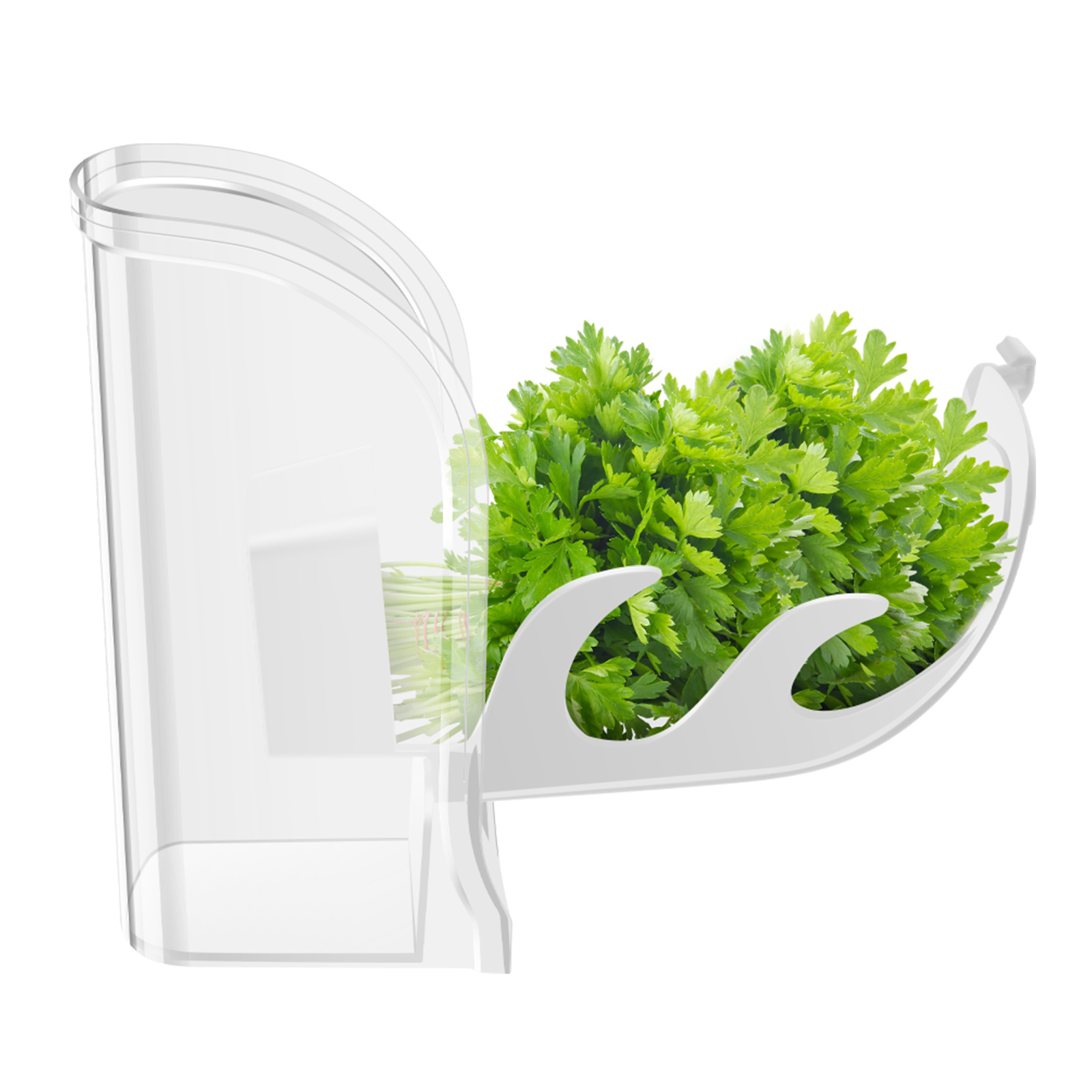 Herb Crisper Saver Container R - Herb Keeper Bottle 评论和价格