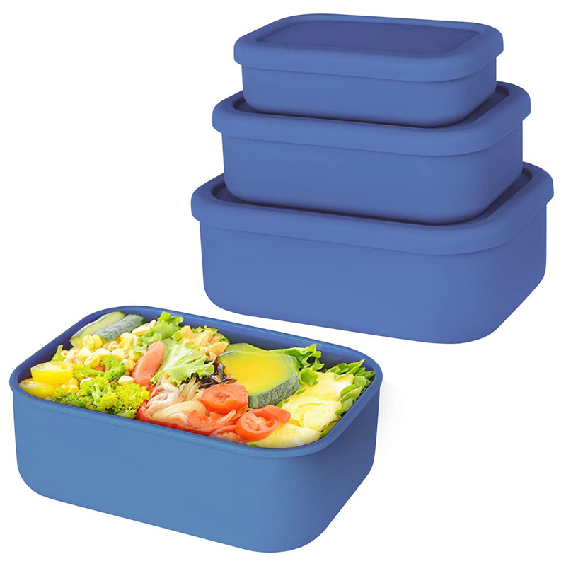 Leak-Resistant Bento Lunch Box - Meal Prep Lunch 评论和价格