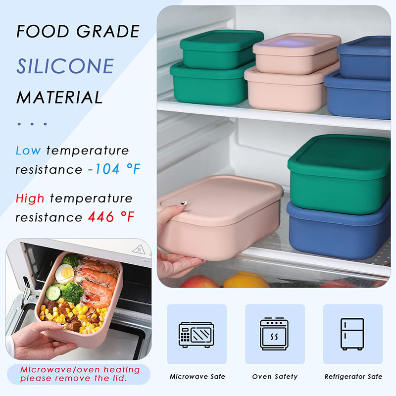Leak-Resistant Bento Lunch Box - Meal Prep Lunch 评论和价格